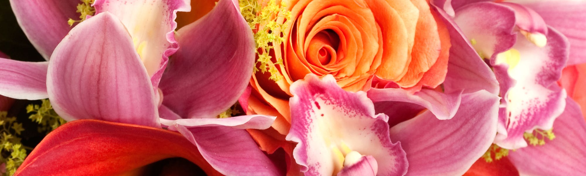 Florist Akron SameDay Flower Delivery Akron, Dover, Ohio Pam's Posies